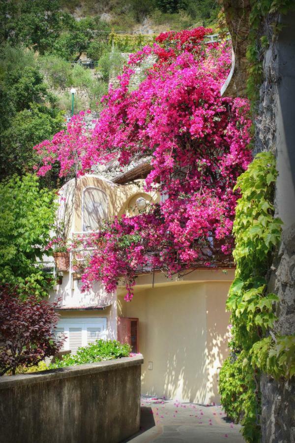 Venus Apartment Positano Exteriör bild